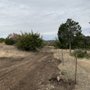 Photo of Backroads Land Services