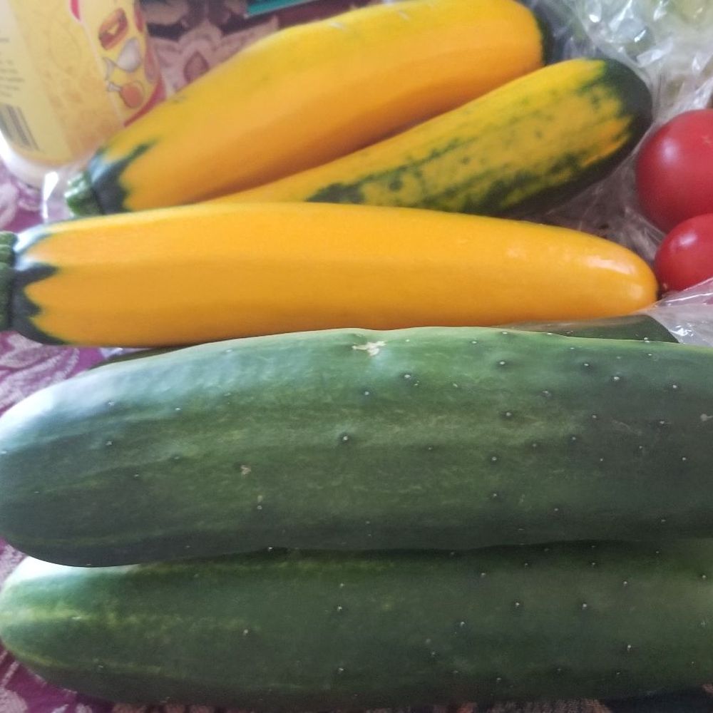 Baffoni's Poultry Farm - These cukes were huge and the yellow green squash were too pretty not to buy! - Fruits & Veggies Near Me - Johnston, Rhode Island Baffoni's Poultry Farm - These cukes were huge and the yellow green squash were too pretty not to buy! - Fruits & Veggies Near Me - Johnston, Rhode Island
