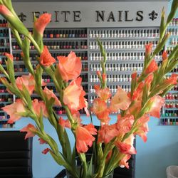 Elite Nails