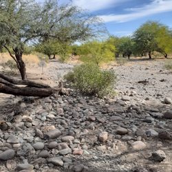 Skunk Creek Disc Golf Course - Scene along the river bed.