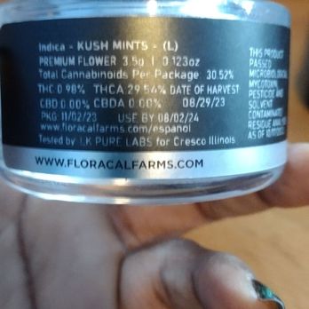 Windy City Cannabis - Kush Mintz - Cannabis Dispensaries Near Me - Homewood, Illinois Windy City Cannabis - Kush Mintz - Cannabis Dispensaries Near Me - Homewood, Illinois