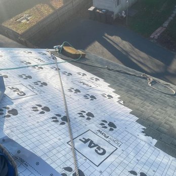 Rain Day Roofing - a dog paw print on the roof - Roofing Near Me