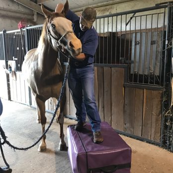 Integrative Veterinary Services of Missouri - Veterinarians Near Me - Springfield, Missouri Integrative Veterinary Services of Missouri - Veterinarians Near Me - Springfield, Missouri