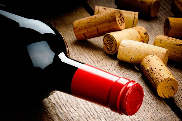 D'Cata for VIP Wine Club by null