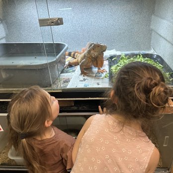 EcoVivarium - Museums Near Me - Escondido, California EcoVivarium - Museums Near Me - Escondido, California