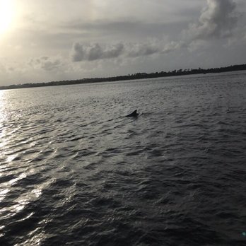 Key Sailing - Dolphin at the beginning of sunset! - Boating Near Me - Pensacola Beach, Florida Key Sailing - Dolphin at the beginning of sunset! - Boating Near Me - Pensacola Beach, Florida