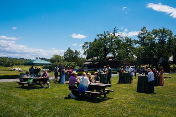Landmark Vineyards at Hop Kiln Estate by null