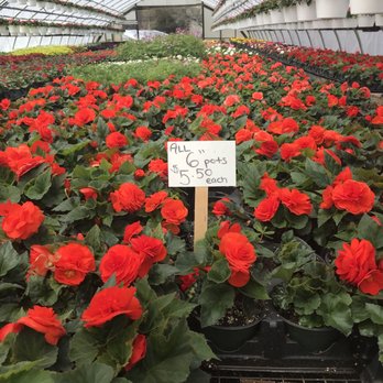 Glendale Farms - Nurseries & Gardening Near Me - Milford, Connecticut Glendale Farms - Nurseries & Gardening Near Me - Milford, Connecticut