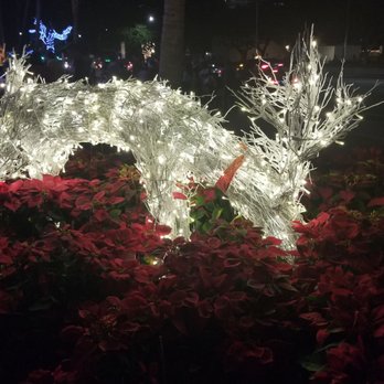 Honolulu City Lights - Festivals Near Me - Honolulu, Hawaii Honolulu City Lights - Festivals Near Me - Honolulu, Hawaii