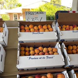 Sodaro Orchards