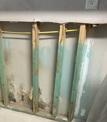 Mold Remediation - Investigate the damage and contamination to understand the extent of the damage.
Create a customized remediation plan.
Set up to safely contain the mold while cleanup and restoration take place.
We always use the appropriate gear, equipment, and safety practices to ensure your mold damages are taken care of properly.
Our industry-leading BioSweep nanotechnology sets us apart from most other providers.