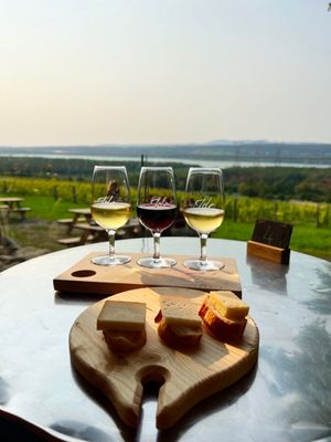 Vignoble Isle de Bacchus by null