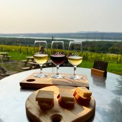 Vignoble Isle de Bacchus