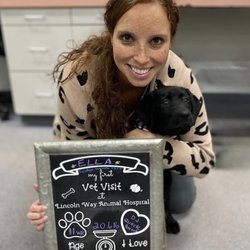 CareVet of Lincoln Way
