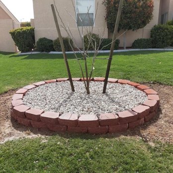 VML Landscaping - a tree planted in a flower bed - Landscaping Near Me VML Landscaping - a tree planted in a flower bed - Landscaping Near Me
