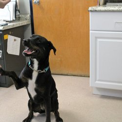 Wood County Humane Society