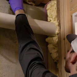Green Shield Pest Solutions - Rodent Trapping