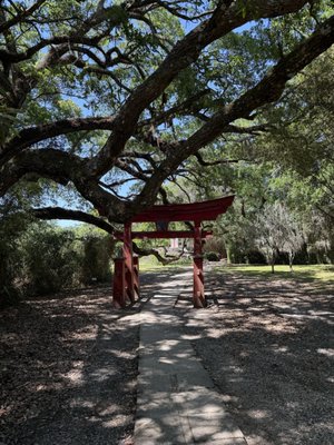 Jungle Gardens by null