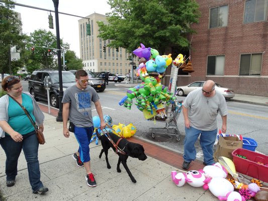 Guiding Eyes for the Blind by null