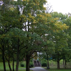 Central Park