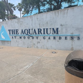 Aquarium Pyramid - Aquariums Near Me - Galveston, Texas Aquarium Pyramid - Aquariums Near Me - Galveston, Texas