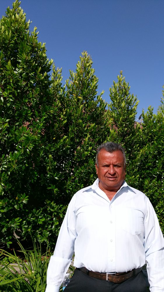 Bedolla Gardening Service - tree service in Los Angeles, CA