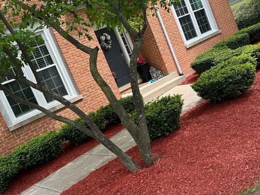 Mulching - Infinite Green Landscaping - Mulching - Infinite Green Landscaping Mulching - Infinite Green Landscaping - Mulching - Infinite Green Landscaping