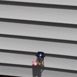 Big Time Home Improvement