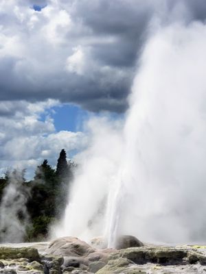 Te Puia - Rotorua, NZ by null