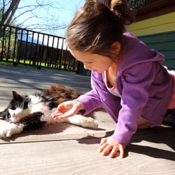 Tours by Isabelle - Mary Ann, a sweet old plantation cat at Laura Plantation