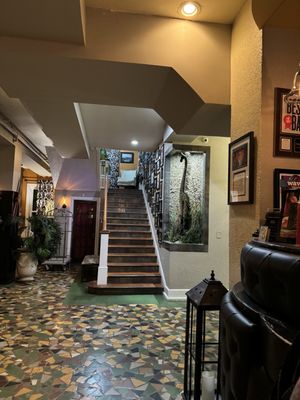 Hollander Hotel St. Petersburg / Downtown by null