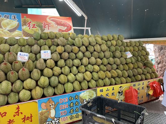 Durian 36 by null
