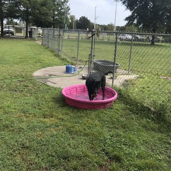 Mount D.O.R.A Dog Park - Wading pool near water bowls and faucets - Dog Parks Near Me - Mount Dora, Florida