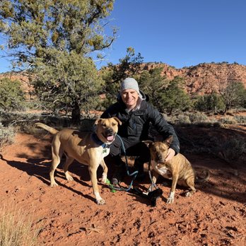 Training Tails K9 Services - Pet Training Near Me - Phoenix, Arizona Training Tails K9 Services - Pet Training Near Me - Phoenix, Arizona
