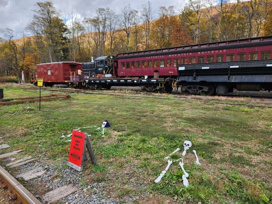 Empire State Railway Museum by null