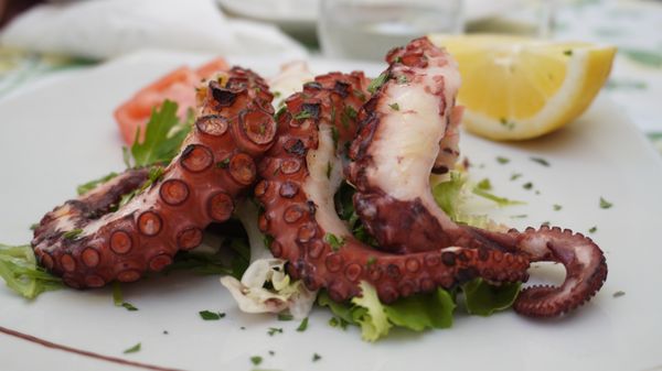 Porta Marina Seafood by null