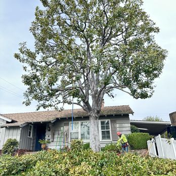 Rsj landscaping inc - Tree service - Landscaping Near Me Rsj landscaping inc - Tree service - Landscaping Near Me