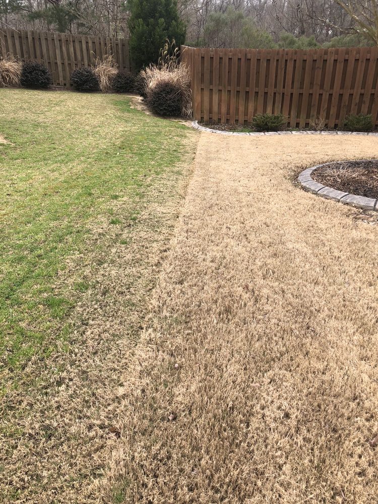 Lawn Ace - tree service in Augusta, GA