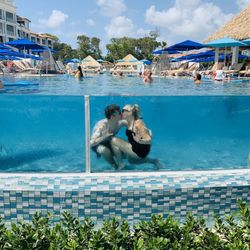 SW Travel - Dream honeymoon!