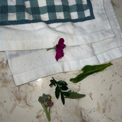 A & S Whitestone Nursery - Pieces falling off when I opened them