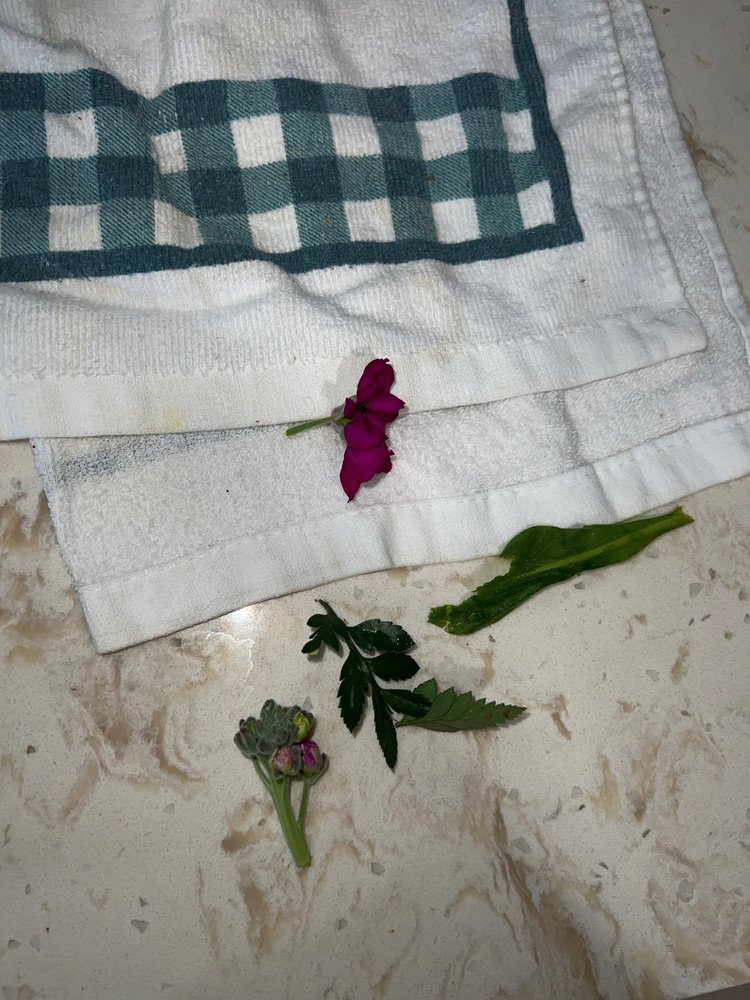 A & S WHITESTONE FLOWERS & GIFTS Updated August 2024 57 Photos & 49