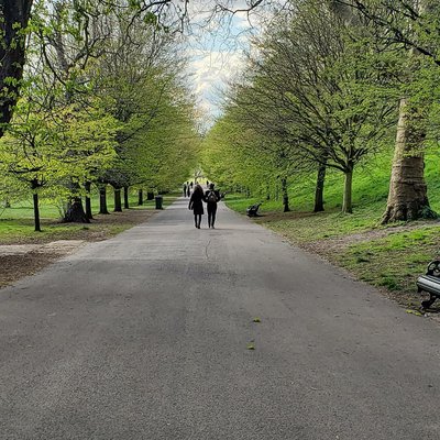 Greenwich Park by null