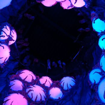 Otherworld - Performing Arts Near Me - Columbus, Ohio Otherworld - Performing Arts Near Me - Columbus, Ohio