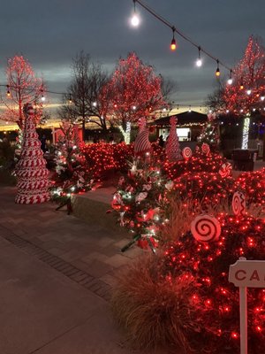 Abilene Zoo by null