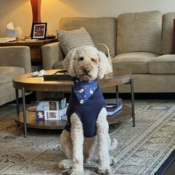 Paws Pet Parlor - Newton