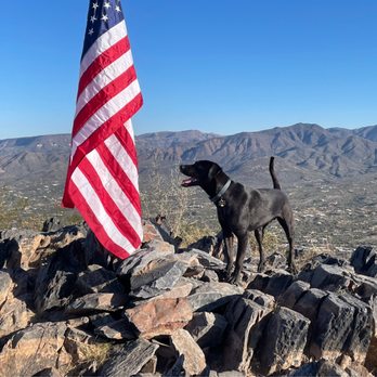 Danmar Pet Resort - Pet Sitting Near Me - Phoenix, Arizona