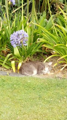 City Lights Boutique Lodge by null