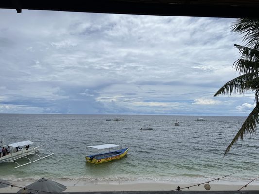 The Buzzz Cafe by Bohol Bee Farm by null
