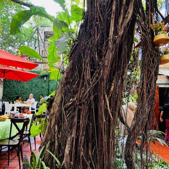 Coco's Kitchen - Breakfast & Brunch Near Me - Puerto Vallarta, JAL