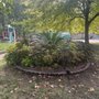 Photo of Shawn Grove Park